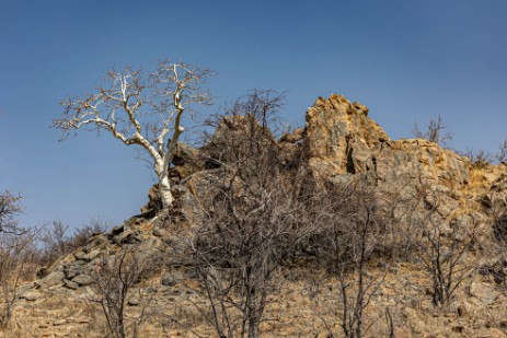 Landschaft auf Fahrt nach Etoscha West