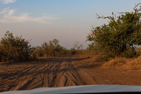 Sandige Piste im Chobe Nationalpark