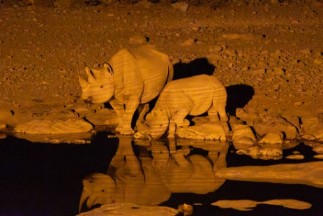 Rhino mit Kalb am Wasserloch Moringa im Etoscha Nationalpark