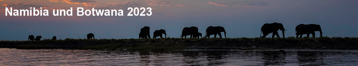 Chobe Nationalpark - Elefanten bei Sonnenuntergang